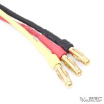 ALZRC - Brushless Motor - 3120-PRO - 1000KV