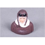 FMS Pilot 009