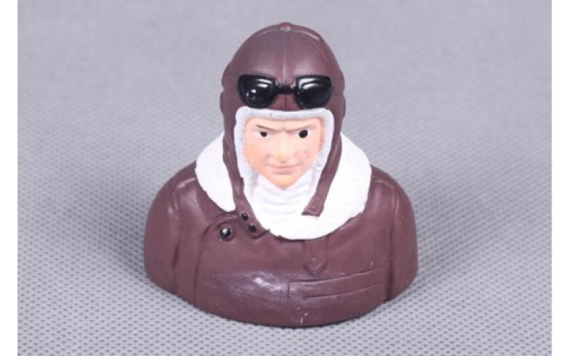 FMS Pilot 009