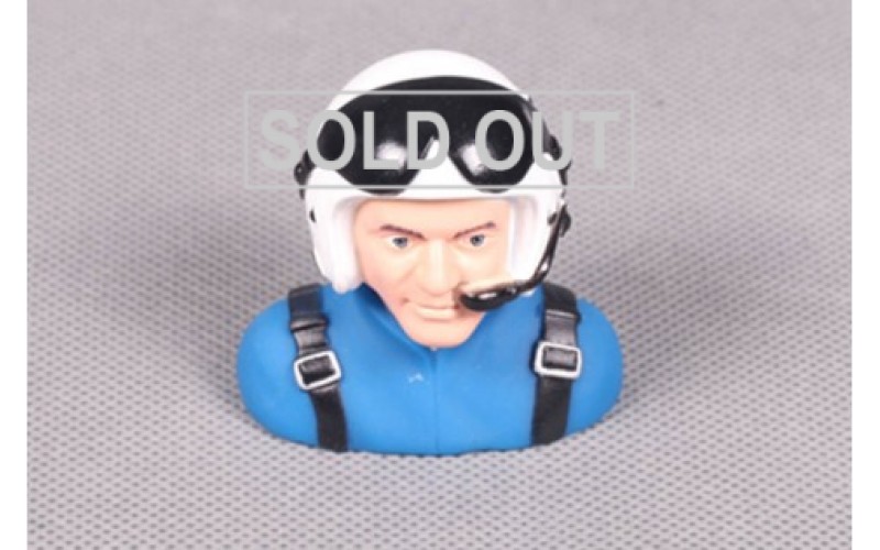 FMS Pilot 012